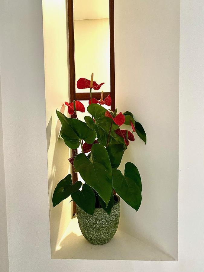 Douro B&B Avenida Resende Ngoại thất bức ảnh